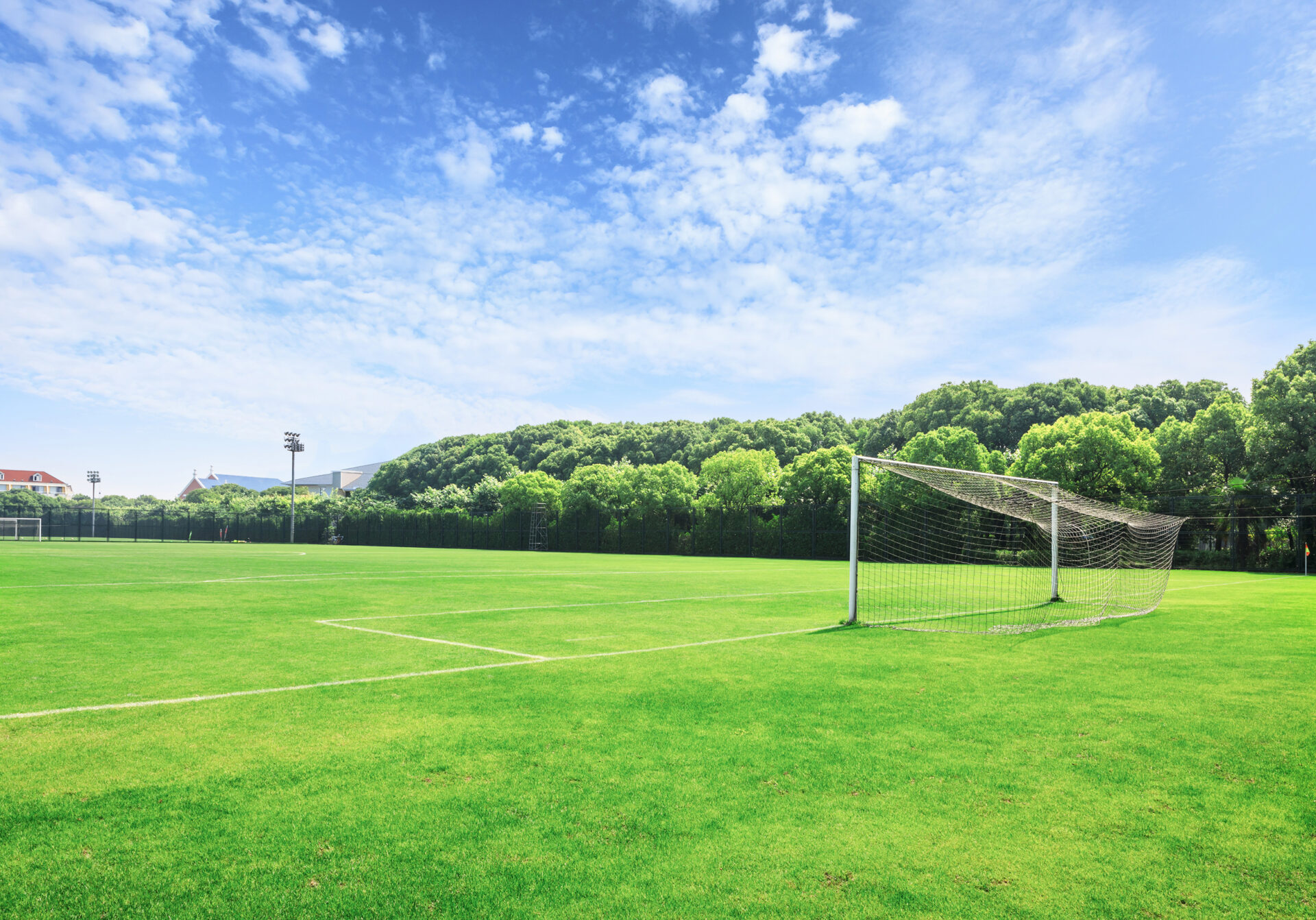 Grüner Fußballplatz mit Tor und weißer Markierung unter blauem Himmel, von Bäumen umgeben, ideale Bedingungen für Training oder Spiel.